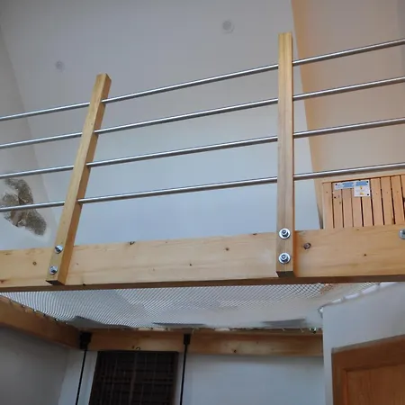 Loft 33m2 Et Dependance 15m2 Avec Jardin Partage * Plougasnou